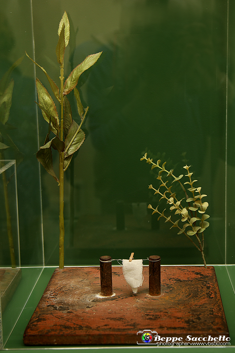 VBS_1434 - Castello di Miradolo - Mostra Oltre il giardino l'Abbecedario di paolo Pejrone.jpg